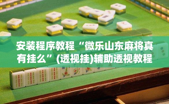 安装程序教程“微乐山东麻将真有挂么”(透视挂)辅助透视教程