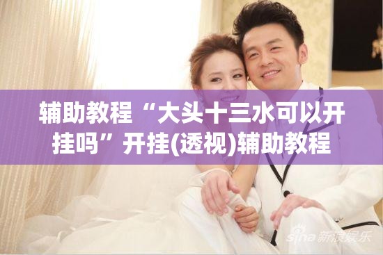 辅助教程“大头十三水可以开挂吗	”开挂(透视)辅助教程