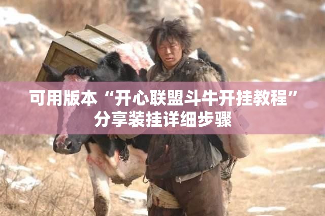 可用版本“开心联盟斗牛开挂教程”分享装挂详细步骤