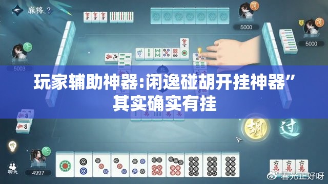 玩家辅助神器:闲逸碰胡开挂神器	”其实确实有挂