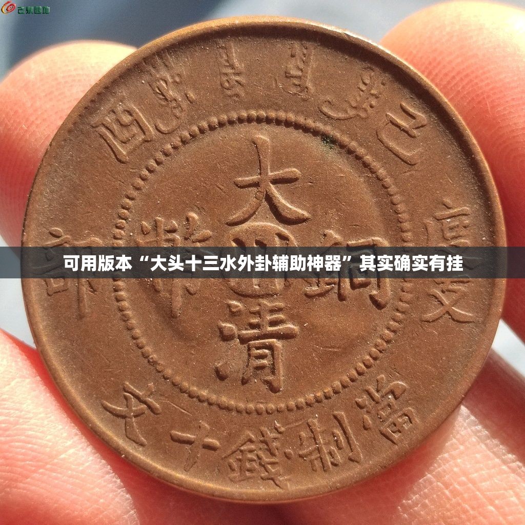 可用版本“大头十三水外卦辅助神器”其实确实有挂