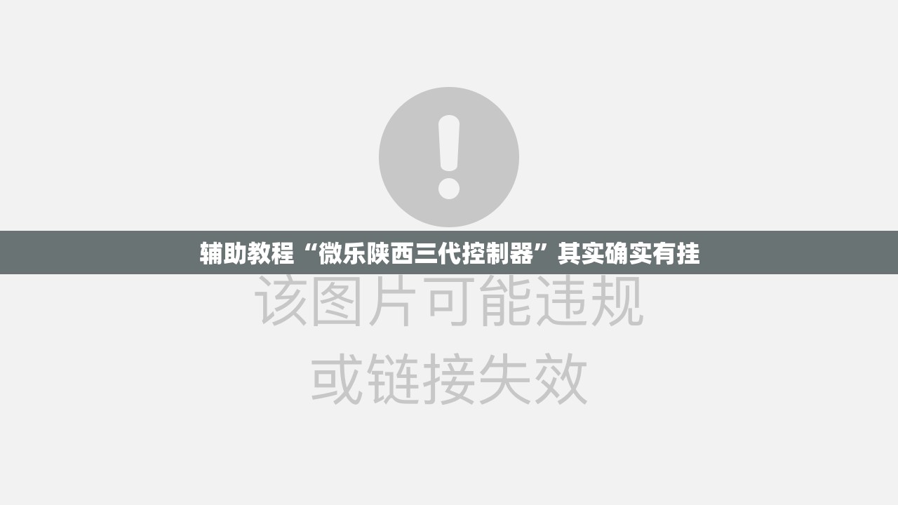 辅助教程“微乐陕西三代控制器”其实确实有挂
