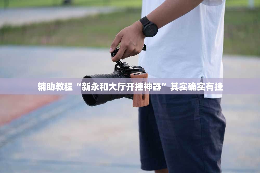 辅助教程“新永和大厅开挂神器”其实确实有挂
