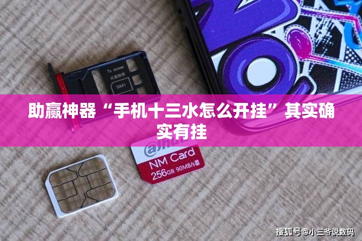 助赢神器“手机十三水怎么开挂”其实确实有挂