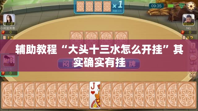 辅助教程“大头十三水怎么开挂	”其实确实有挂