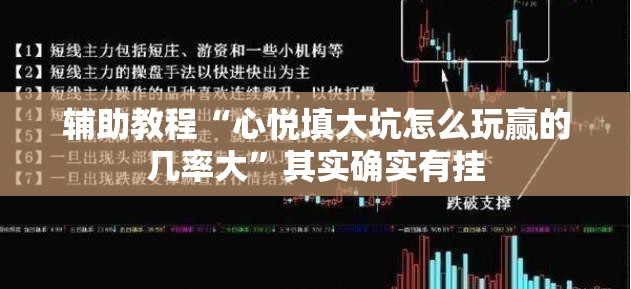 辅助教程“心悦填大坑怎么玩赢的几率大”其实确实有挂