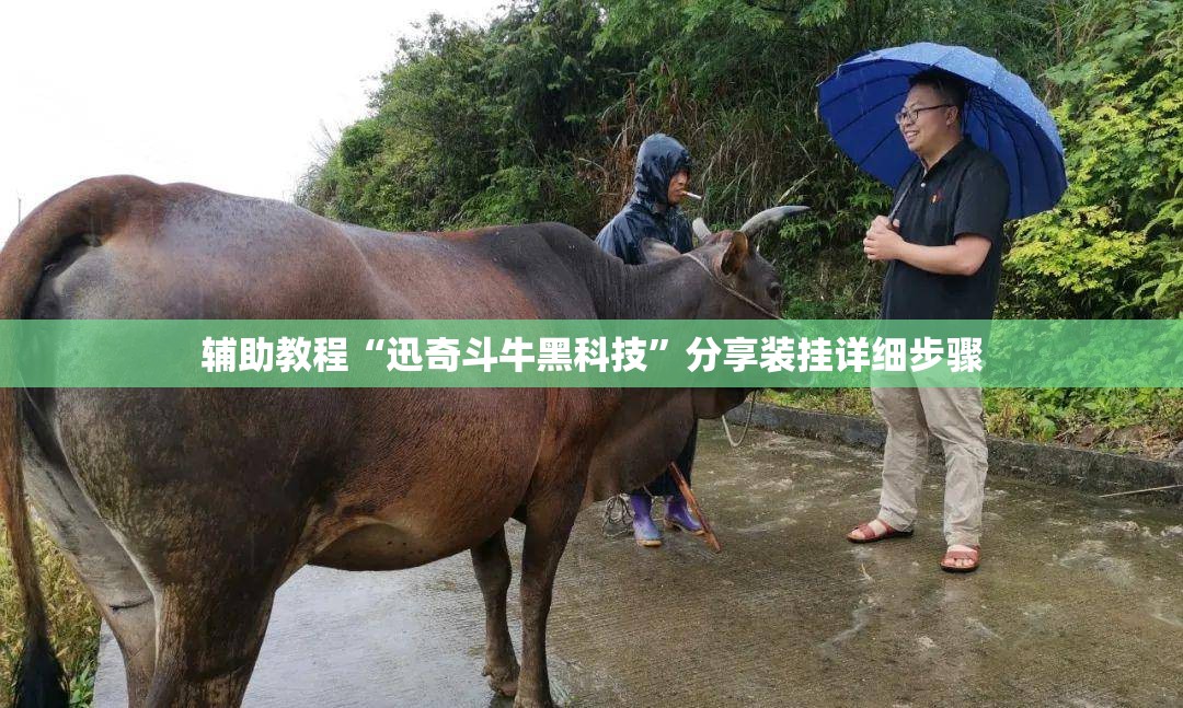 辅助教程“迅奇斗牛黑科技	”分享装挂详细步骤