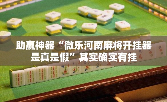 助赢神器“微乐河南麻将开挂器是真是假	”其实确实有挂