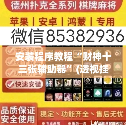 安装程序教程“财神十三张辅助器”(透视挂)辅助透视教程