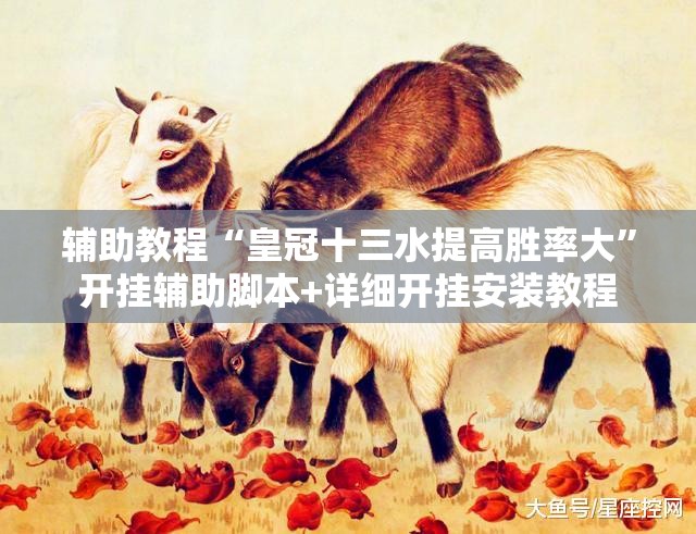 辅助教程“皇冠十三水提高胜率大”开挂辅助脚本+详细开挂安装教程