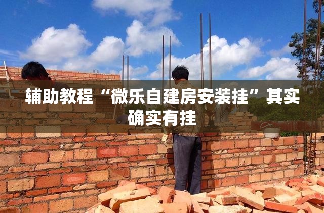 辅助教程“微乐自建房安装挂”其实确实有挂