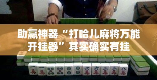助赢神器“打哈儿麻将万能开挂器”其实确实有挂
