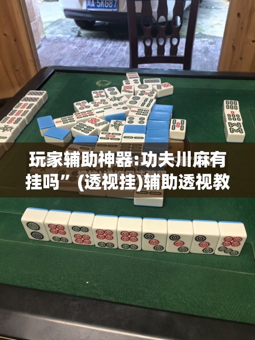 玩家辅助神器:功夫川麻有挂吗”(透视挂)辅助透视教程