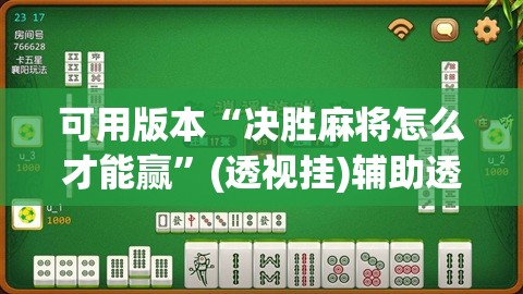 可用版本“决胜麻将怎么才能赢	”(透视挂)辅助透视教程