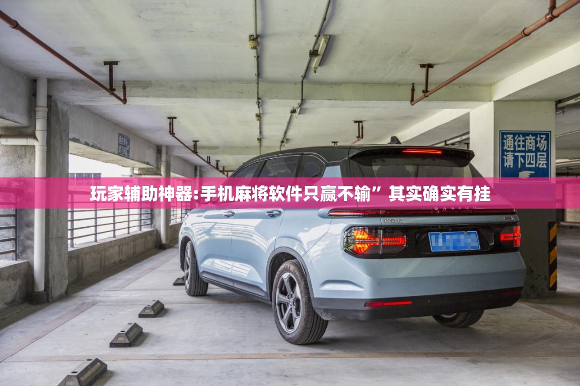 玩家辅助神器:手机麻将软件只赢不输	”其实确实有挂