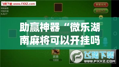 助赢神器“微乐湖南麻将可以开挂吗”(透视挂)辅助透视教程