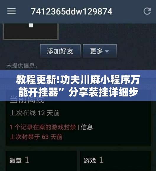教程更新!功夫川麻小程序万能开挂器”分享装挂详细步骤