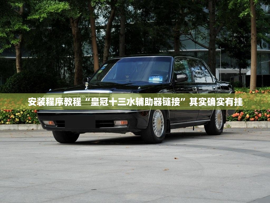 安装程序教程“皇冠十三水辅助器链接	”其实确实有挂