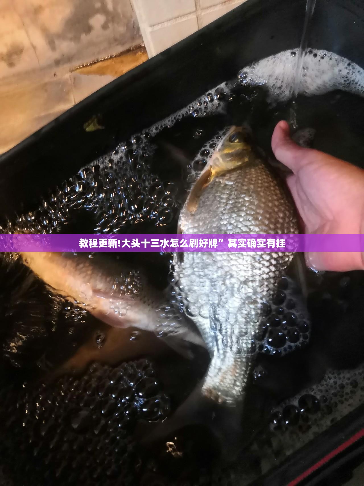 教程更新!大头十三水怎么刷好牌”其实确实有挂