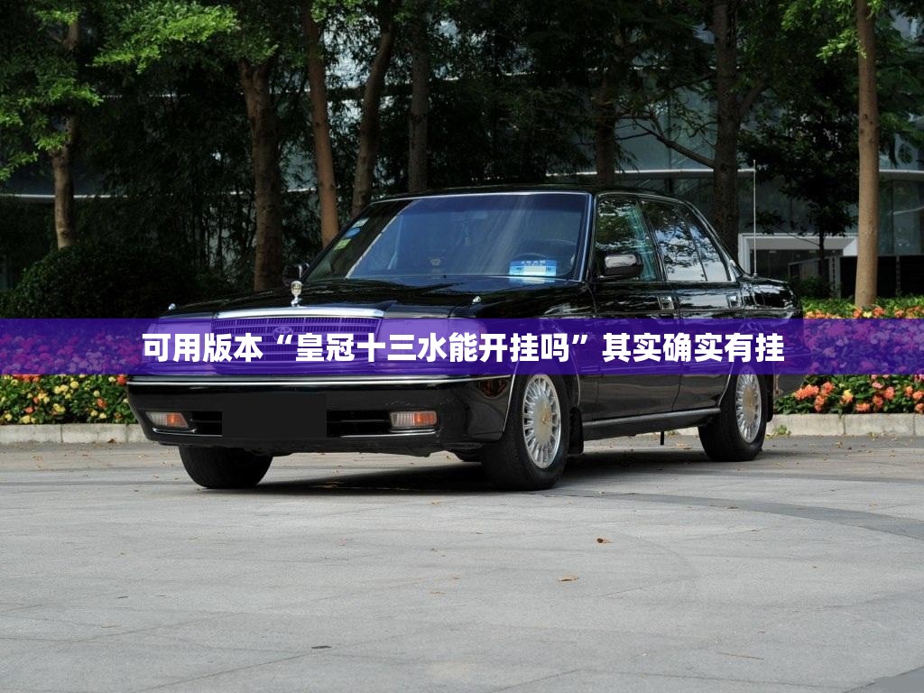 可用版本“皇冠十三水能开挂吗	”其实确实有挂