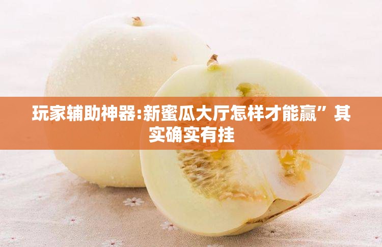 玩家辅助神器:新蜜瓜大厅怎样才能赢”其实确实有挂