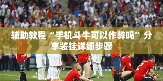 辅助教程“手机斗牛可以作弊吗”分享装挂详细步骤