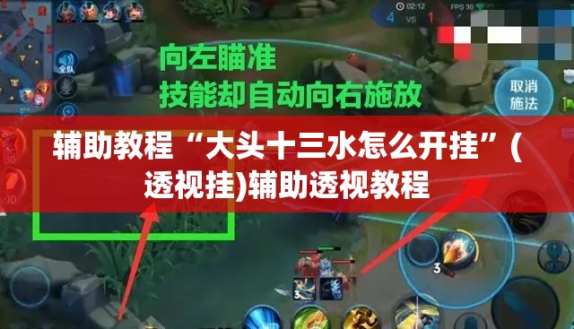 辅助教程“大头十三水怎么开挂”(透视挂)辅助透视教程