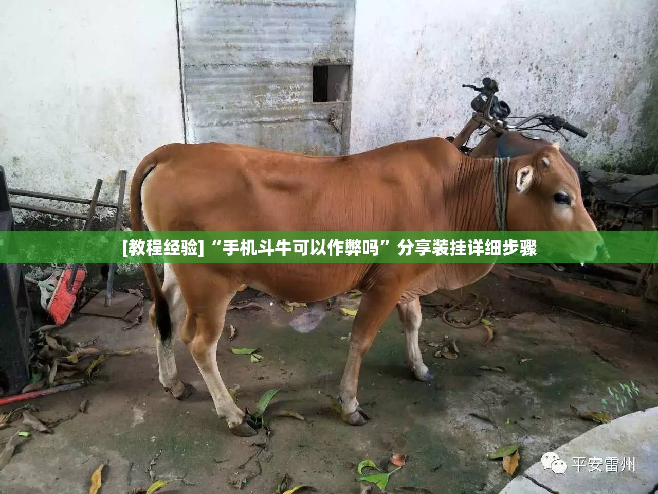 [教程经验]“手机斗牛可以作弊吗”分享装挂详细步骤