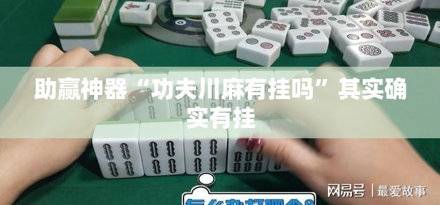 助赢神器“功夫川麻有挂吗	”其实确实有挂