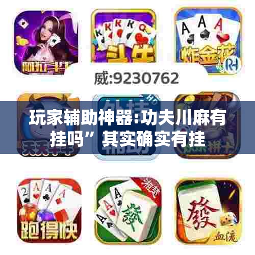 玩家辅助神器:功夫川麻有挂吗”其实确实有挂