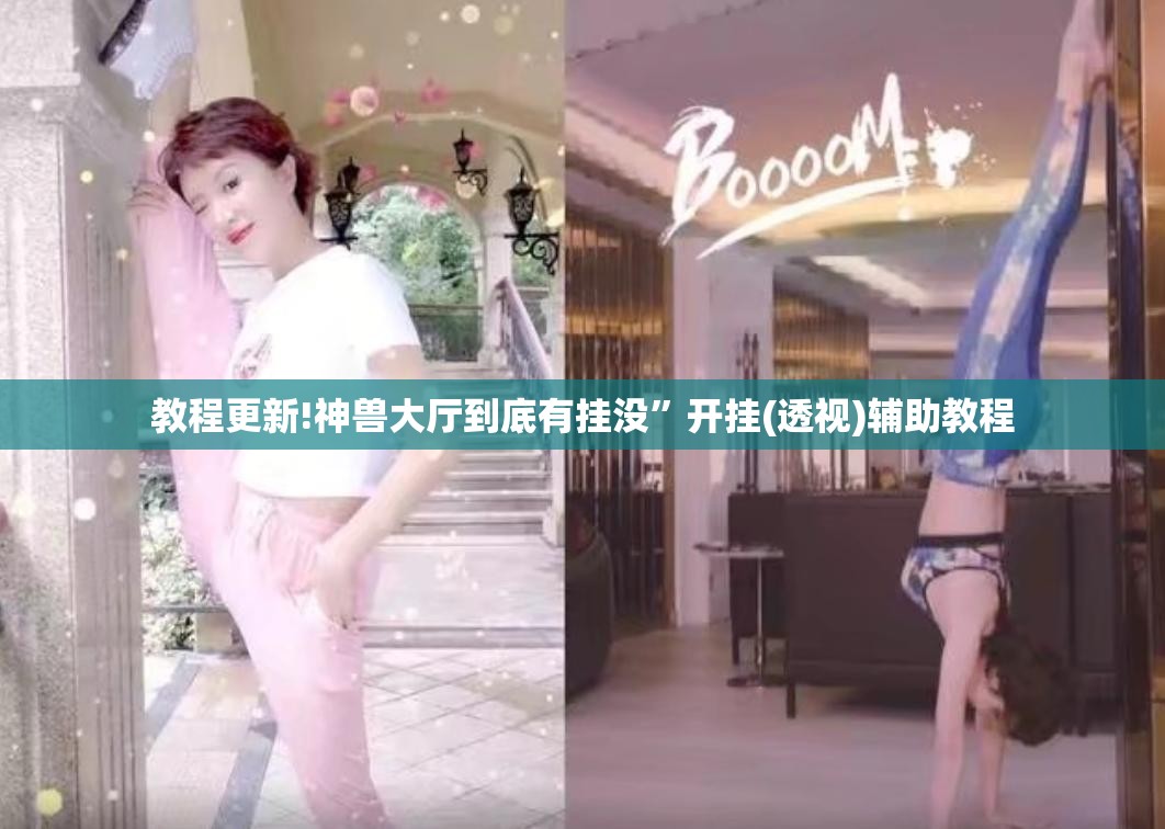 教程更新!神兽大厅到底有挂没”开挂(透视)辅助教程