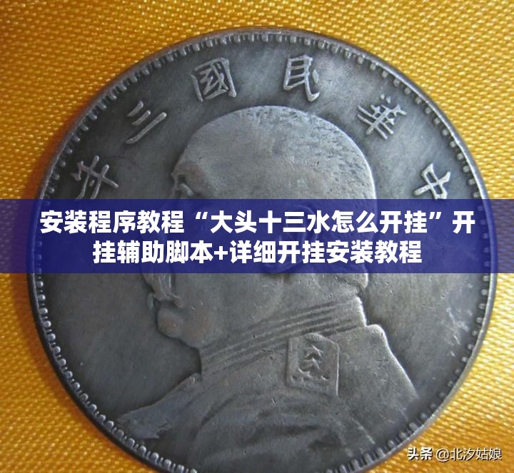 安装程序教程“大头十三水怎么开挂”开挂辅助脚本+详细开挂安装教程