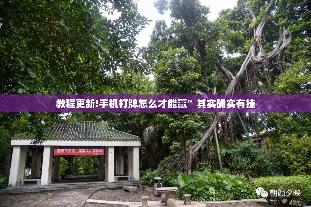 教程更新!手机打牌怎么才能赢”其实确实有挂