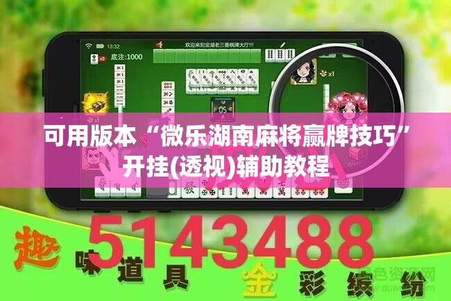可用版本“微乐湖南麻将赢牌技巧”开挂(透视)辅助教程