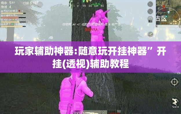 玩家辅助神器:随意玩开挂神器	”开挂(透视)辅助教程
