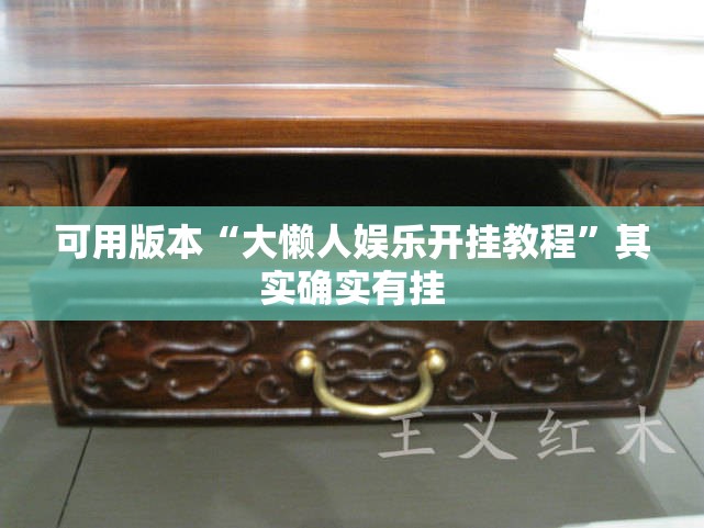 可用版本“大懒人娱乐开挂教程”其实确实有挂