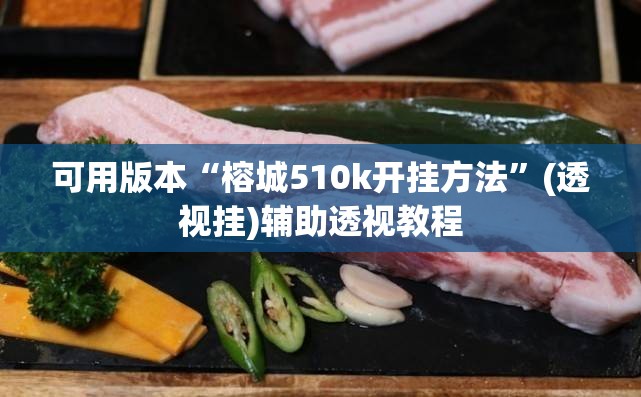 可用版本“榕城510k开挂方法”(透视挂)辅助透视教程