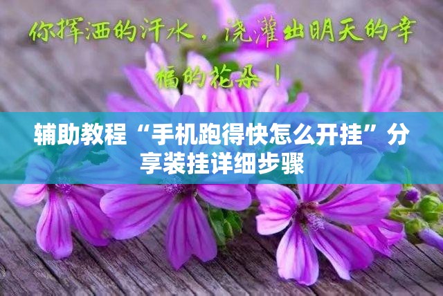 辅助教程“手机跑得快怎么开挂”分享装挂详细步骤