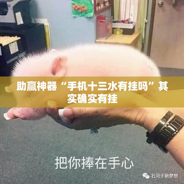 助赢神器“手机十三水有挂吗”其实确实有挂