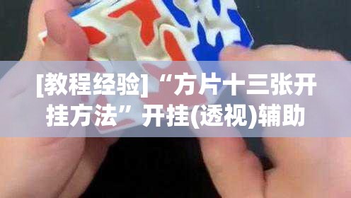 [教程经验]“方片十三张开挂方法”开挂(透视)辅助教程