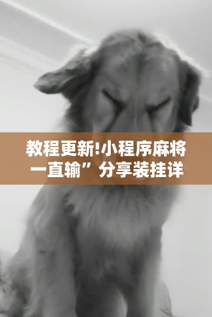 教程更新!小程序麻将一直输”分享装挂详细步骤