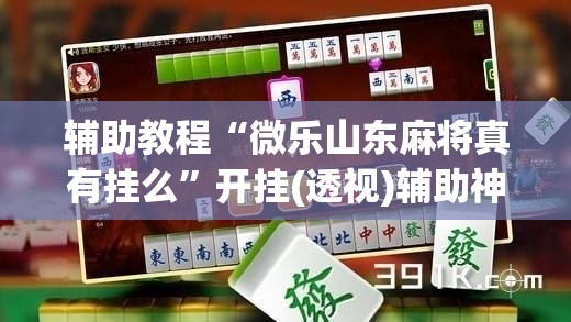 辅助教程“微乐山东麻将真有挂么	”开挂(透视)辅助神器