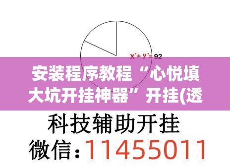 安装程序教程“心悦填大坑开挂神器”开挂(透视)辅助教程