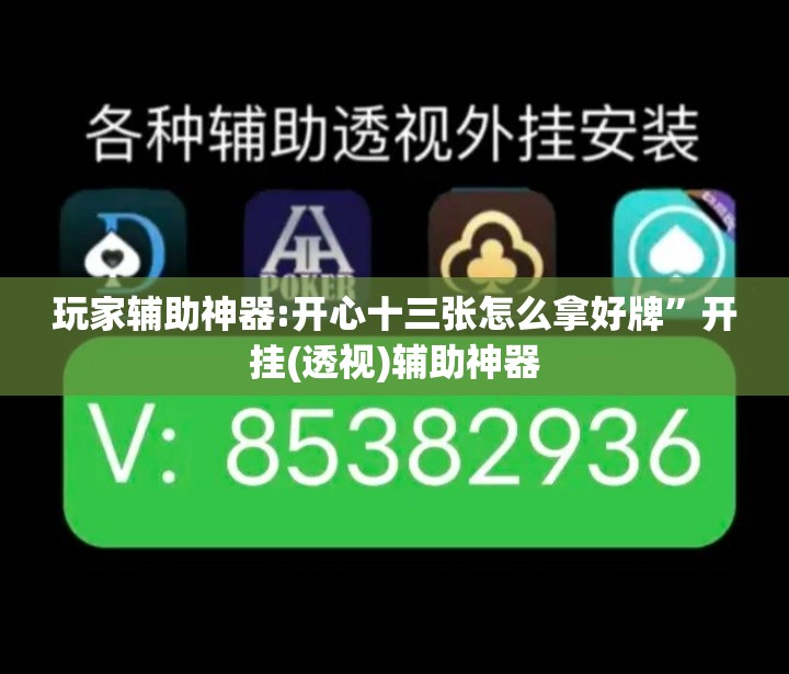 玩家辅助神器:开心十三张怎么拿好牌”开挂(透视)辅助神器