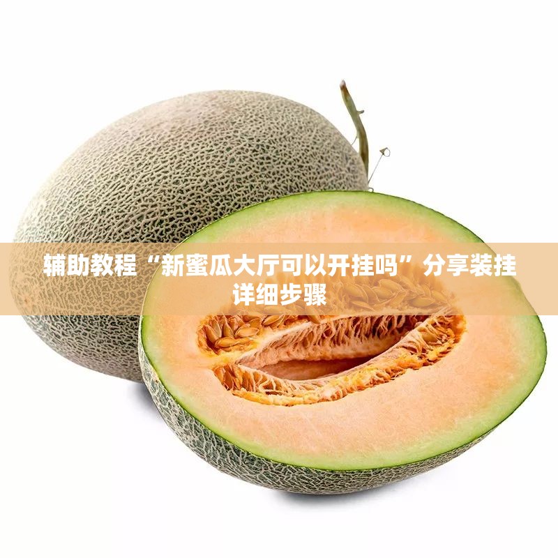 辅助教程“新蜜瓜大厅可以开挂吗	”分享装挂详细步骤
