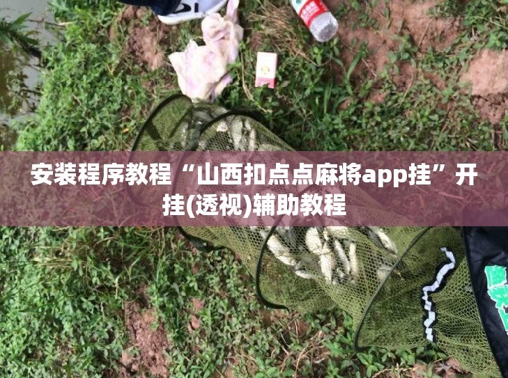 安装程序教程“山西扣点点麻将app挂”开挂(透视)辅助教程