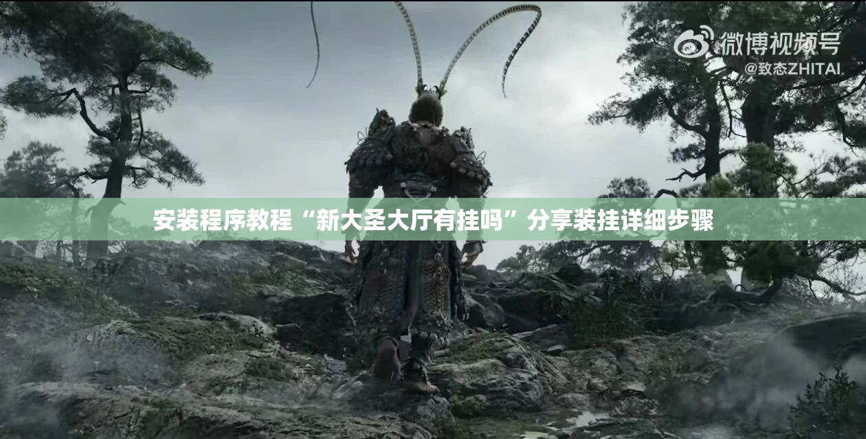 安装程序教程“新大圣大厅有挂吗	”分享装挂详细步骤