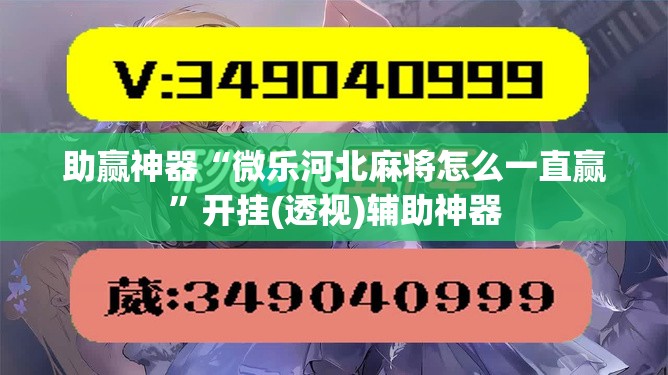 助赢神器“微乐河北麻将怎么一直赢	”开挂(透视)辅助神器