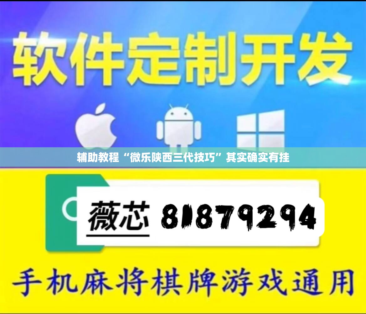辅助教程“微乐陕西三代技巧	”其实确实有挂
