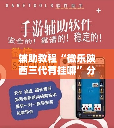 辅助教程“微乐陕西三代有挂嘛	”分享装挂详细步骤